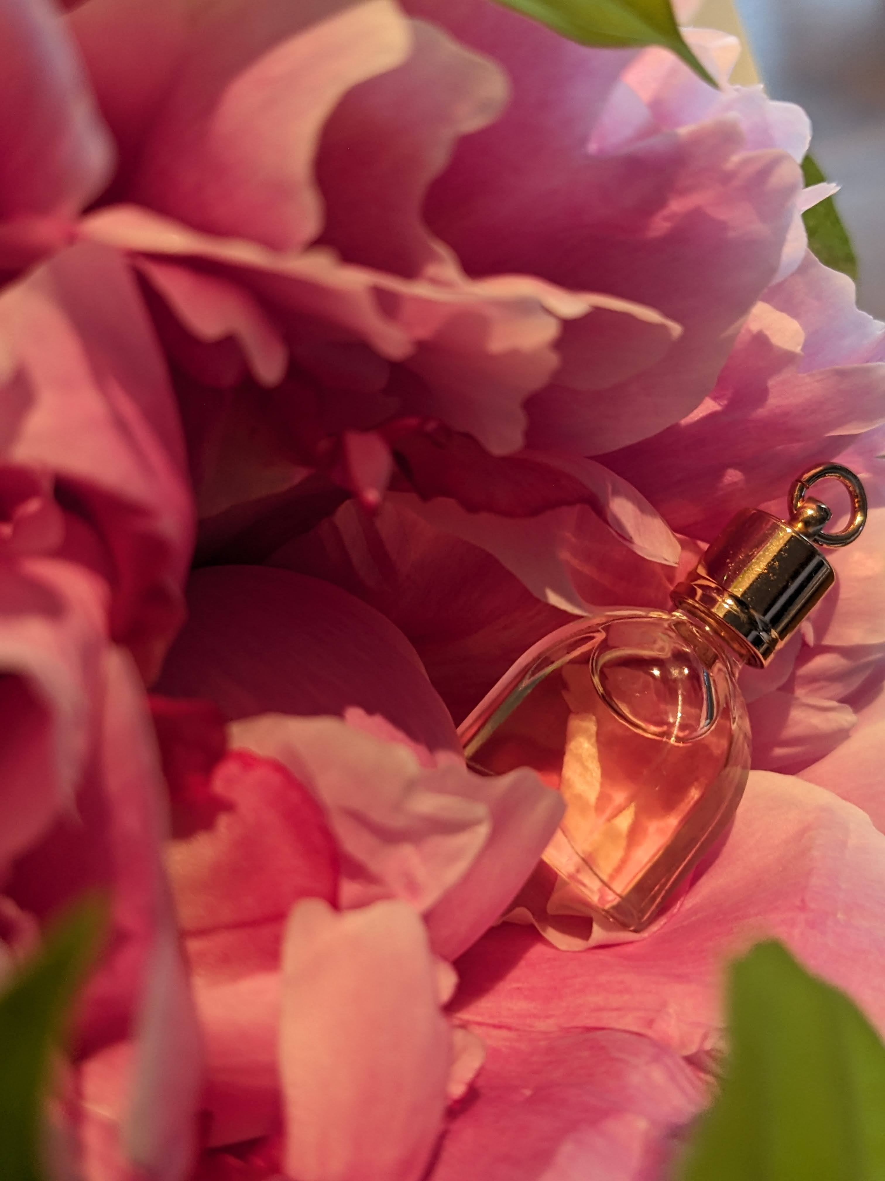 エジプト香油　春の【卸】リピーター様感謝祭♡ Rose surrender 愛される喜び 聖なるエジプト香油 – Luméile de jour